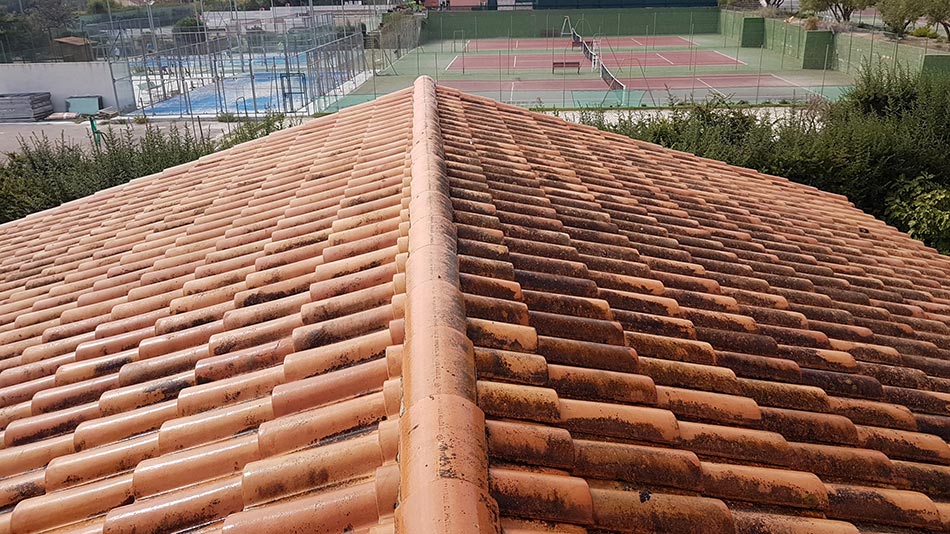 Nettoyage d'une toiture sale due a la présence de mousse et de champignons