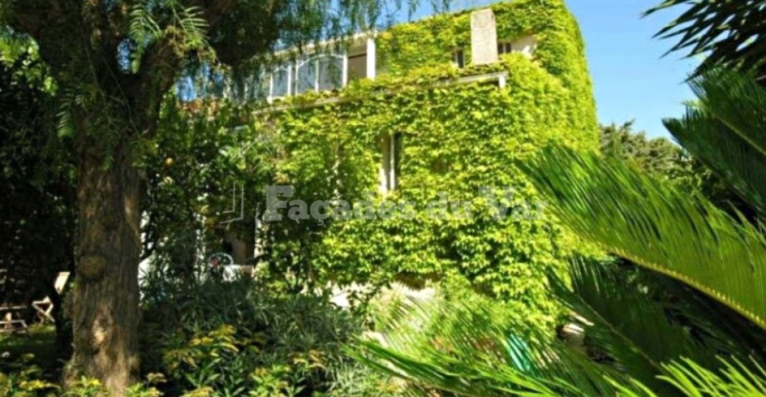 Façade végétalisée d'une maison, Façades du Var, Façadier Var.